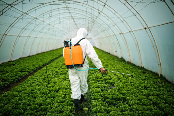 Best Pest Inspection Near Me  in Buckingham, FL