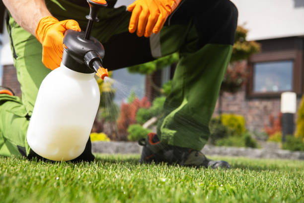 Best Flea Control Services  in Buckingham, FL