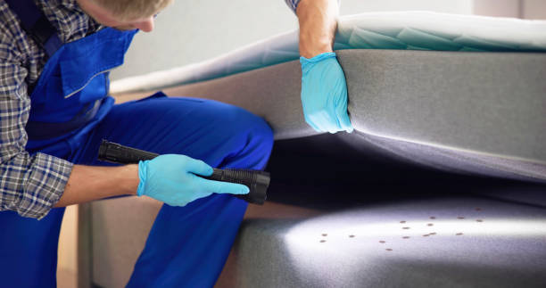 Best Bed Bug Extermination  in Buckingham, FL