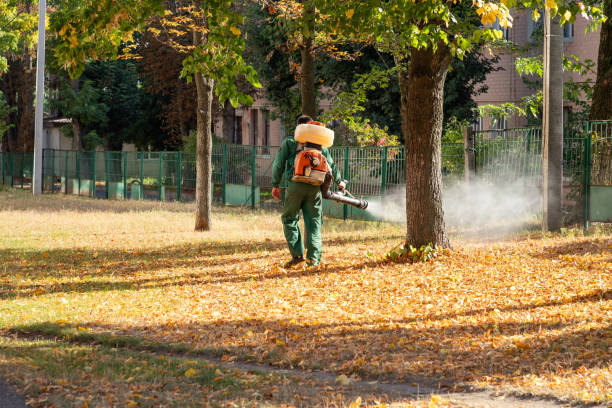 Best Best Pest Control Companies  in Buckingham, FL