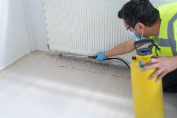 Best Pest Control Near Me  in Buckingham, FL